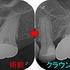 2025 EEdental IWA (3).jpg