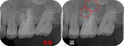 2025 EEdental OMS (1).jpg