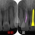 2025 EEdental TKa (1).jpg