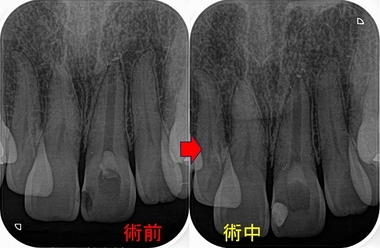 2025 EEdental TKa (2).jpg