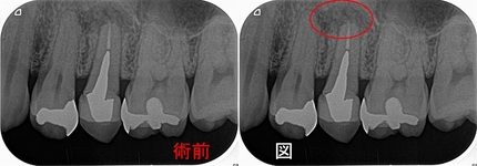 2025EEdental URT (1).jpg