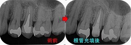 2025EEdental URT (2).jpg