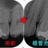 2025EEdental URT (2).jpg