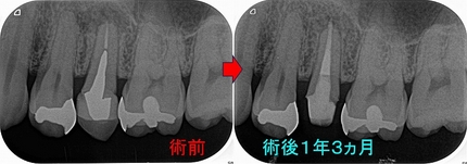 2025EEdental URT (3).jpg