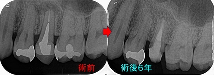 2025EEdental URT (4).jpg