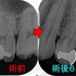 2025EEdental URT (4).jpg