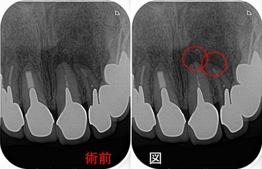 2025 EEdental FTI (1).jpg