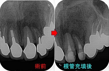 2025 EEdental FTI (2).jpg