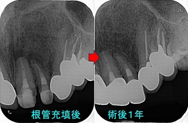 2025 EEdental FTI (3).jpg