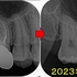 2025 EEdental FUR (2).jpg