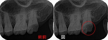 2025 EEdental HOM (1).jpg