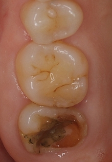 2025 EEdental HOM (2).jpg