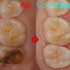 2025 EEdental HOM (4).jpg