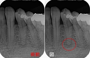 2025 EEdental KKA (3).jpg