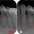 2025 EEdental KKA (3).jpg