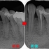 2025 EEdental KKA (5).jpg
