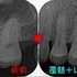 2025 EEdental NIH (2).jpg