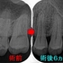 2025 EEdental NIH (3).jpg