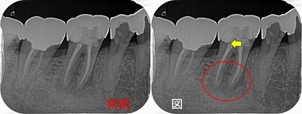 2025 EEdental OKK (1).jpg
