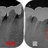 2025 EEdental OKK (1).jpg