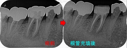2025 EEdental OKK (2).jpg