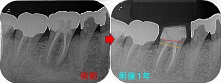 2025 EEdental OKK (3).jpg