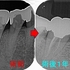 2025 EEdental OKK (3).jpg