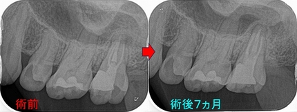 2025 EEdental FUT.jpg
