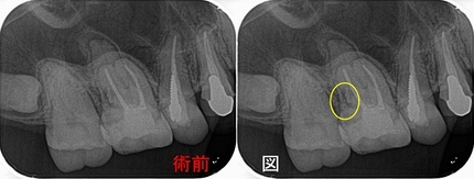 2025 EEdental HTA (0).jpg
