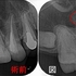2025 EEdental HTA (1).jpg
