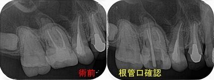 2025 EEdental HTA (2).jpg