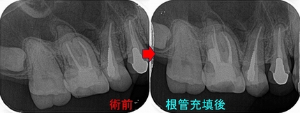 2025 EEdental HTA (3).jpg