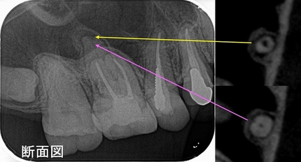 2025 EEdental HTA (4).jpg