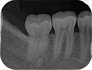 2025 EEdental KAM (0).jpg