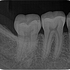 2025 EEdental KAM (0).jpg