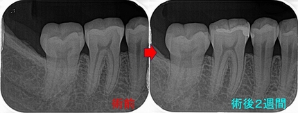 2025 EEdental KAM (2).jpg
