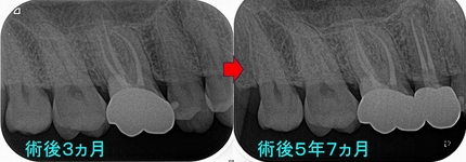 2025 EEdental MIT.jpg