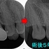2025 EEdental MIT.jpg