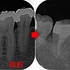 2025 EEdental MOT.jpg