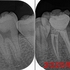 2025 EEdental NAS (0).jpg