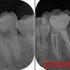 2025 EEdental NAS (1).jpg