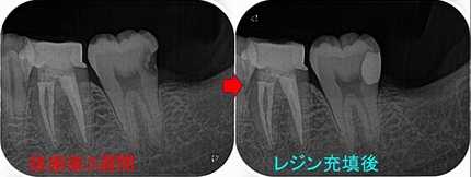 2025 EEdental NAS (3).jpg