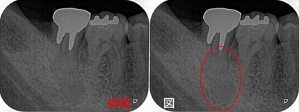 2025 EEdental OOK (1).jpg