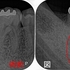 2025 EEdental OOK (1).jpg