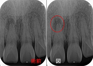 2025 EEdental SAM (1).jpg