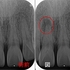 2025 EEdental SAM (1).jpg