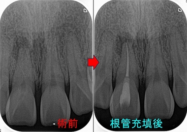 2025 EEdental SAM (2).jpg
