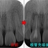 2025 EEdental SAM (2).jpg