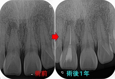 2025 EEdental SAM (3).jpg