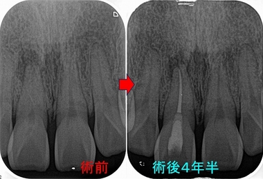 2025 EEdental SAM (4).jpg